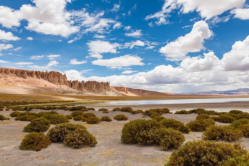 Salar de Tara em San Pedro de Atacama no Chile