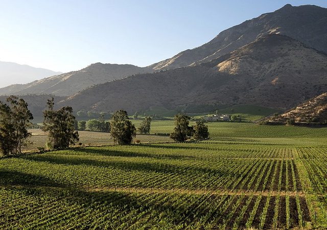 Rota dos vinhos no Valle del Maipo no Chile