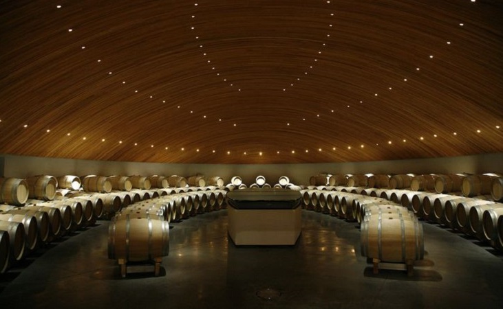 10 melhores vinícolas no Chile