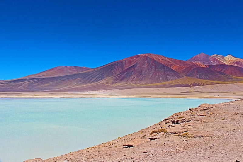Laguna Tuyajto em San Pedro de Atacama