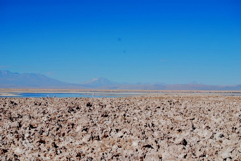 Deserto do Atacama em novembro