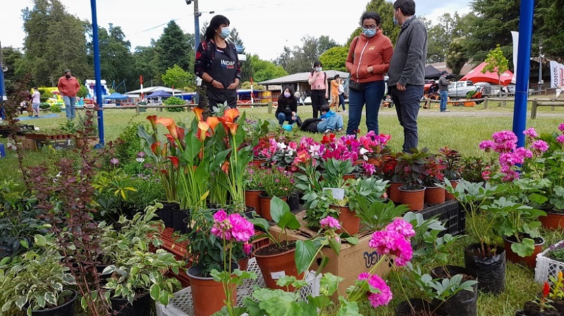 Primavera em Temuco